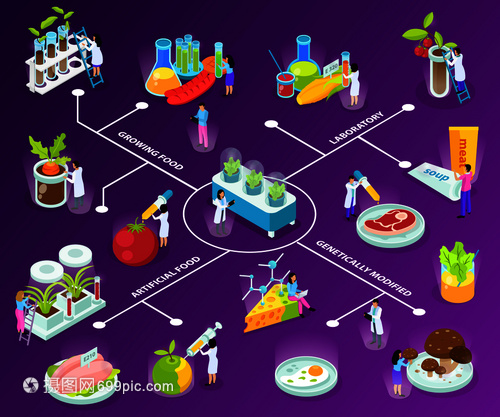 人工食品等距流程图与科学家实验中食用成分的紫色背景矢量插图